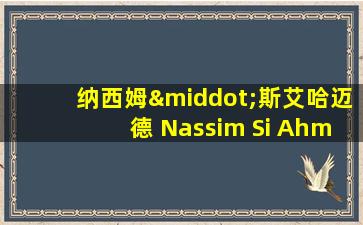 纳西姆·斯艾哈迈德 Nassim Si Ahmed